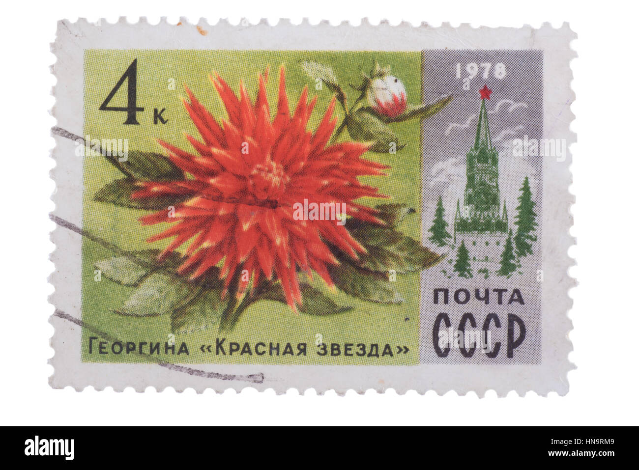Urss - circa 1978 : un timbre-poste montre Dahlia Red Star, Banque D'Images