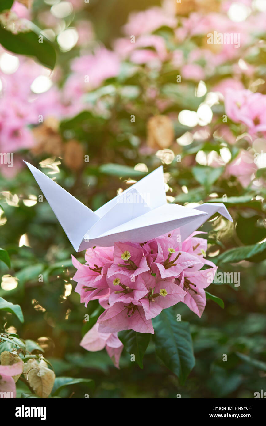 White paper crane dans jardin avec fleurs roses Banque D'Images