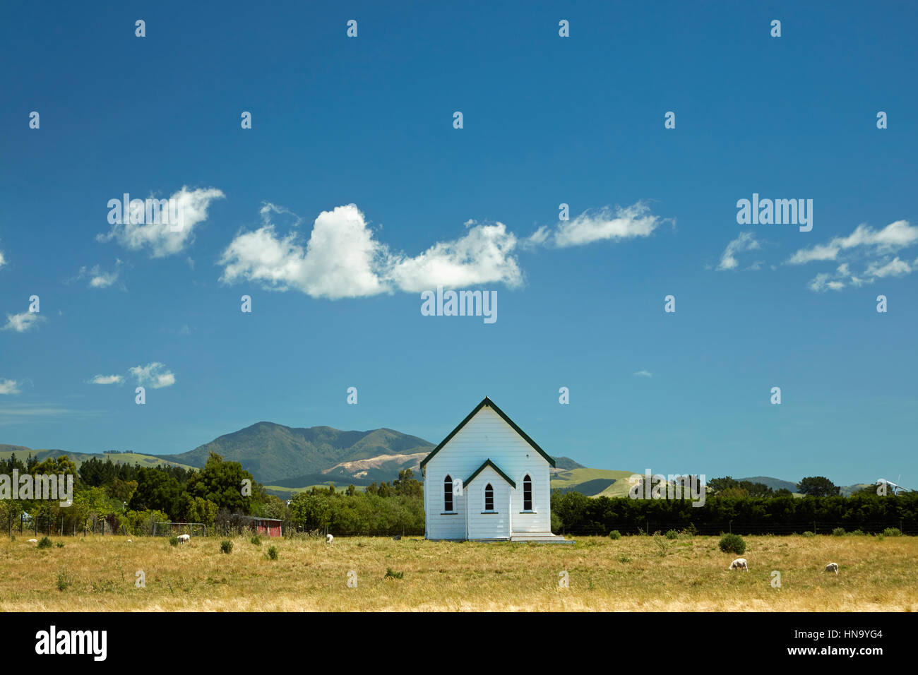 Vieille église en champ, Martinborough, Wairarapa, île du Nord, Nouvelle-Zélande Banque D'Images