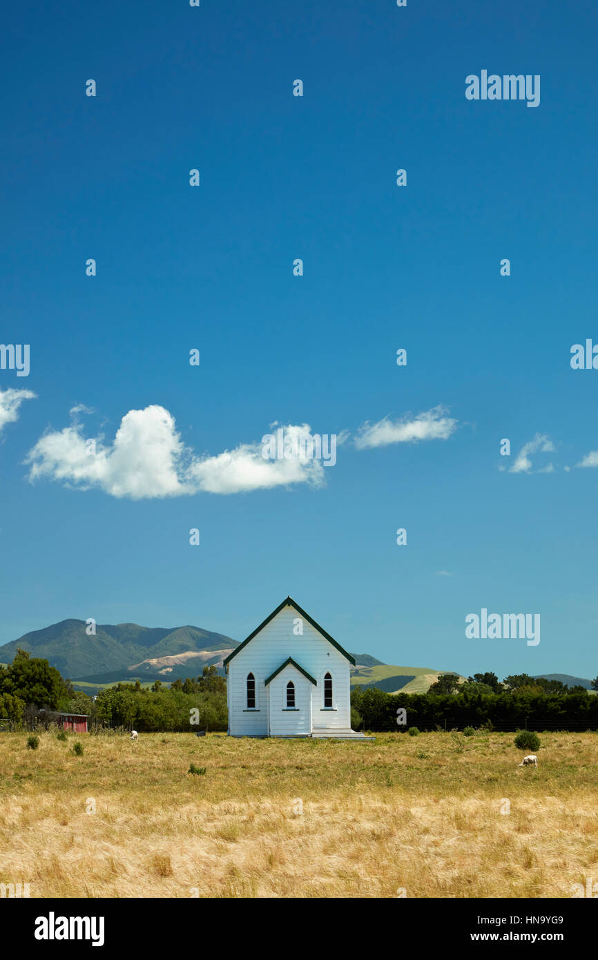 Vieille église en champ, Martinborough, Wairarapa, île du Nord, Nouvelle-Zélande Banque D'Images