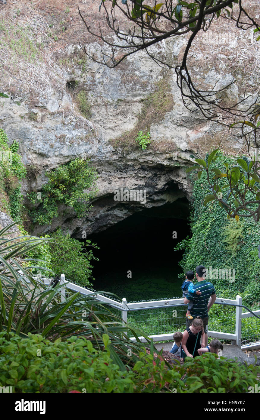 Umpherston Sinkhole, une grotte de calcaire, à l'intérieur de la grotte Jardins à Mt Gambier, le sud-est de Mt Gambier, Australie du Sud Banque D'Images