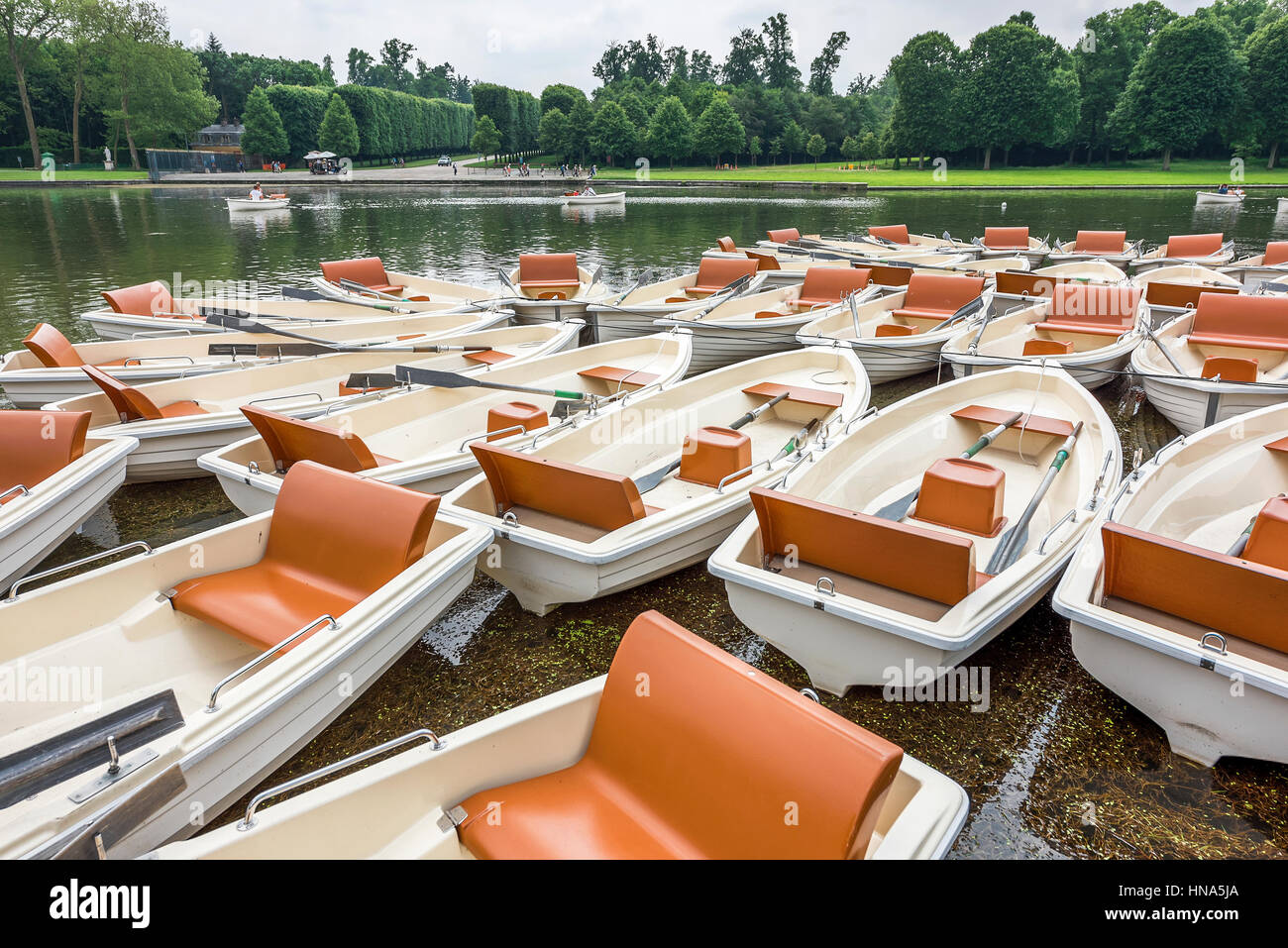 Bateaux à louer sur l'étang Banque D'Images