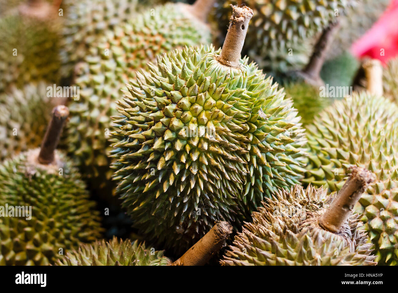 Fruits duriens à vendre à Chinatown, Singapour. Le fruit est connu pour son arôme et son goût piquante. Banque D'Images