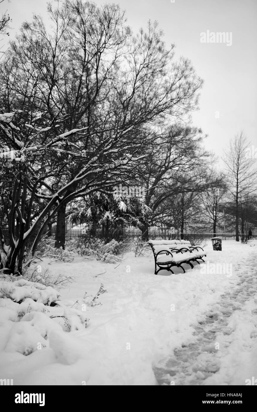 McCarren Park, Williamsburg, Brooklyn, NYC Banque D'Images