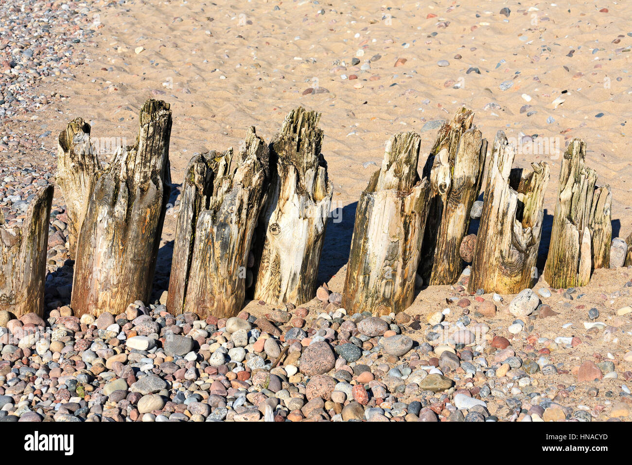 Brise-lames en bois patiné sur la plage sur la côte de la mer Baltique à Kolobrzeg, Pologne Banque D'Images
