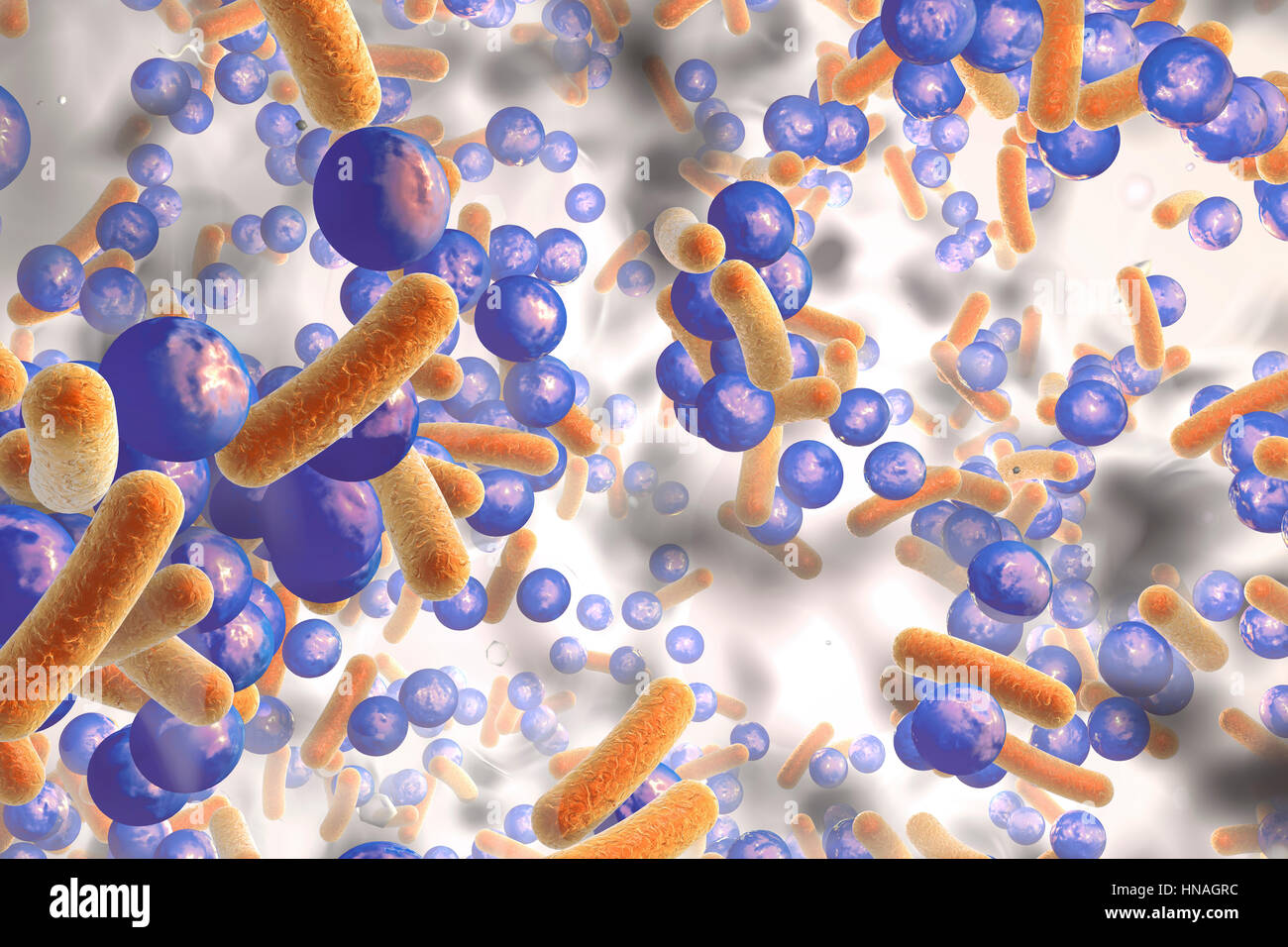 Les bactéries sphériques et les bactéries en forme de tige à l'intérieur d'un biofilm, illustration. Un biofilm est une colonie de bactéries qui forme un revêtement sur une surface. Lieux communs pour les biofilms sont à mettre dans la bouche, où ils peuvent causer des caries et des maladies de gencive, sur les verres de contact, où elles peuvent provoquer des infections des yeux, sur les roches submergées dans l'eau, et sur l'équipement industriel, où ils peuvent causer l'encrassement. Banque D'Images