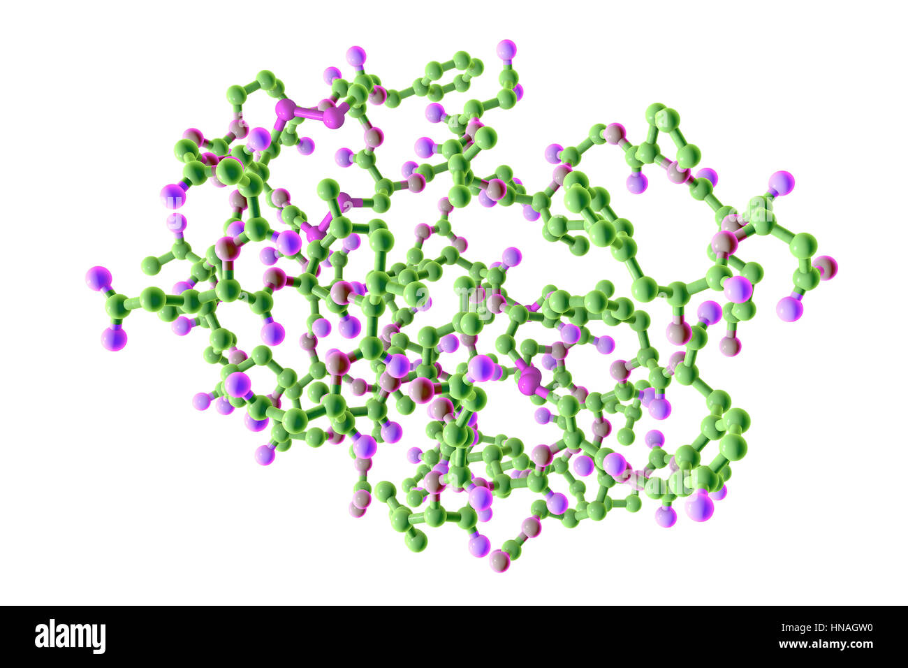 Insulin-like growth factor 1 (IGF-1), le modèle moléculaire. IGFs sont des polypeptides qui sont semblables dans leur structure moléculaire à l'insuline. L'IGF-1 est principalement sécrétée par le foie à la suite de la stimulation par l'hormone de croissance. En plus d'agir de manière similaire à l'insuline, l'IGF-1 peut également réguler la croissance cellulaire et le développement, en particulier dans les cellules nerveuses, ainsi que l'ADN (acide désoxyribonucléique) synthèse. Il joue un rôle important dans la croissance et le développement tout au long de l'enfance et à l'âge adulte. Banque D'Images