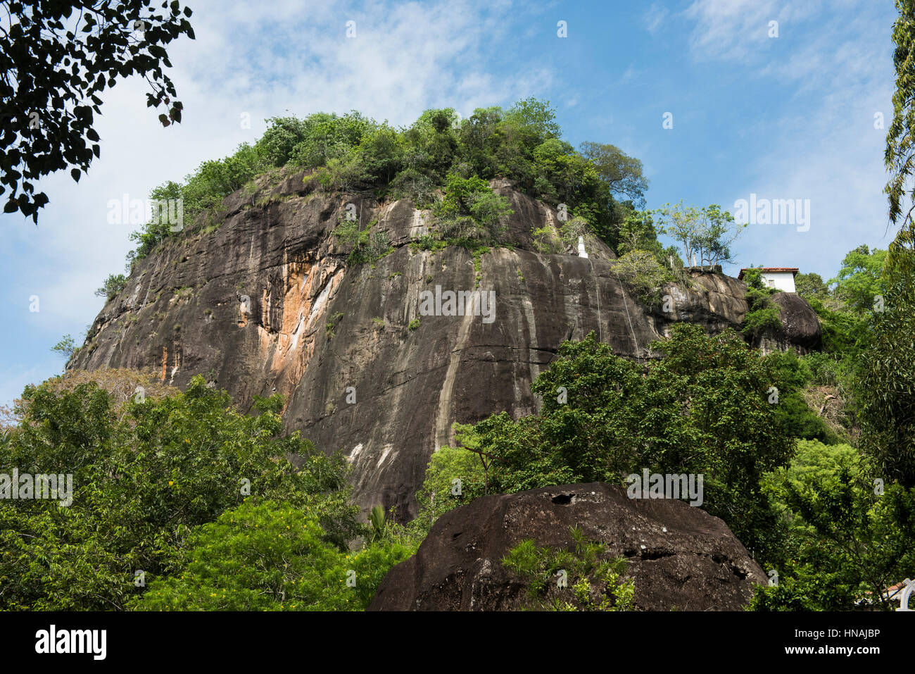 Mulkirigala Raja Maha Vihara, rock temple, construit sur un rocher de 205m au-dessus du niveau de la mer avec 533 étapes pour le sommet, Mulkirigala, Sri Lanka Banque D'Images