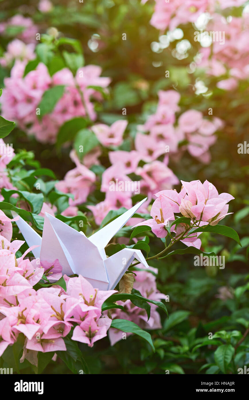 Origami Papier en vert jardin avec la lumière du soleil Banque D'Images