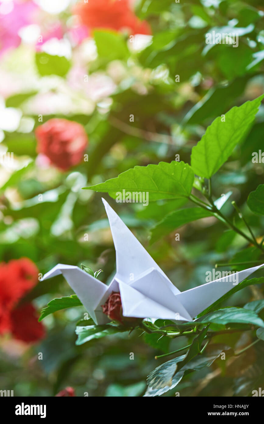 Origami Papier vert en fond de jardin. White Crane sur branch Banque D'Images
