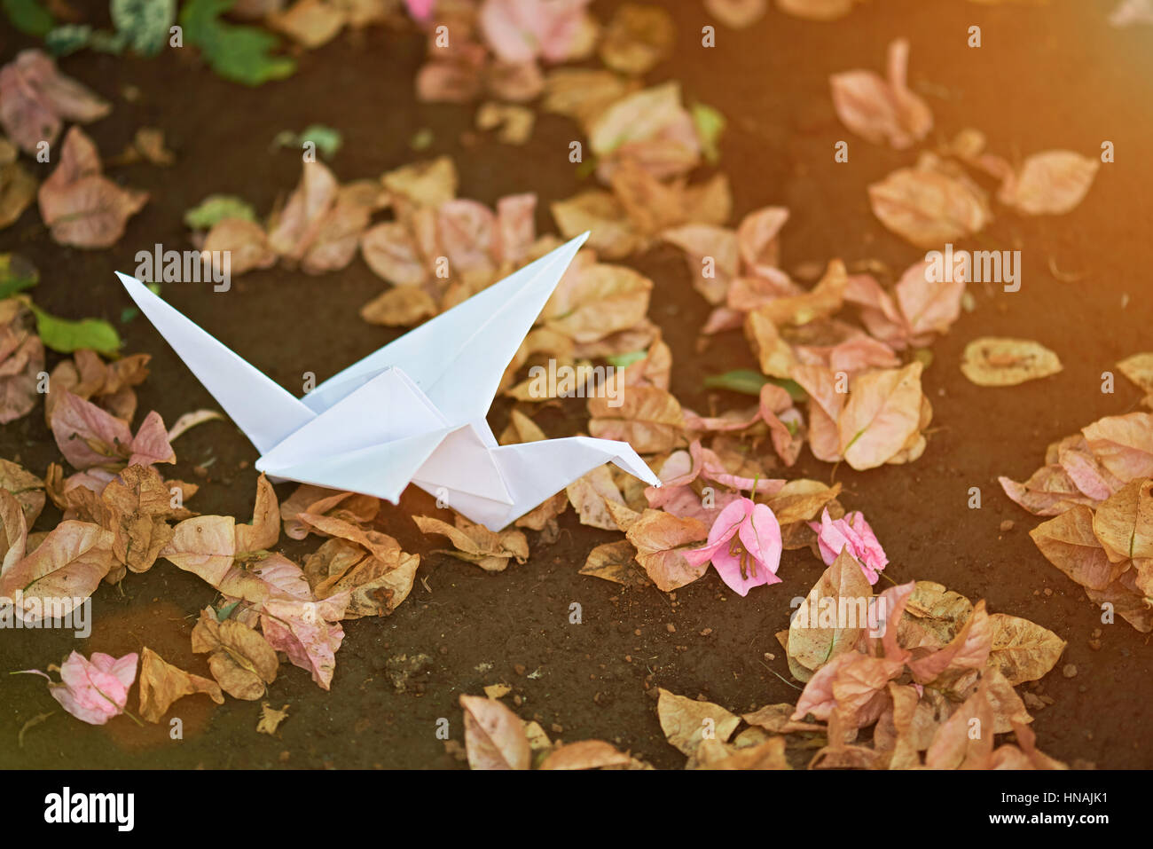 Une grue de papier sur le sol. En origami blanc nature jardin Banque D'Images