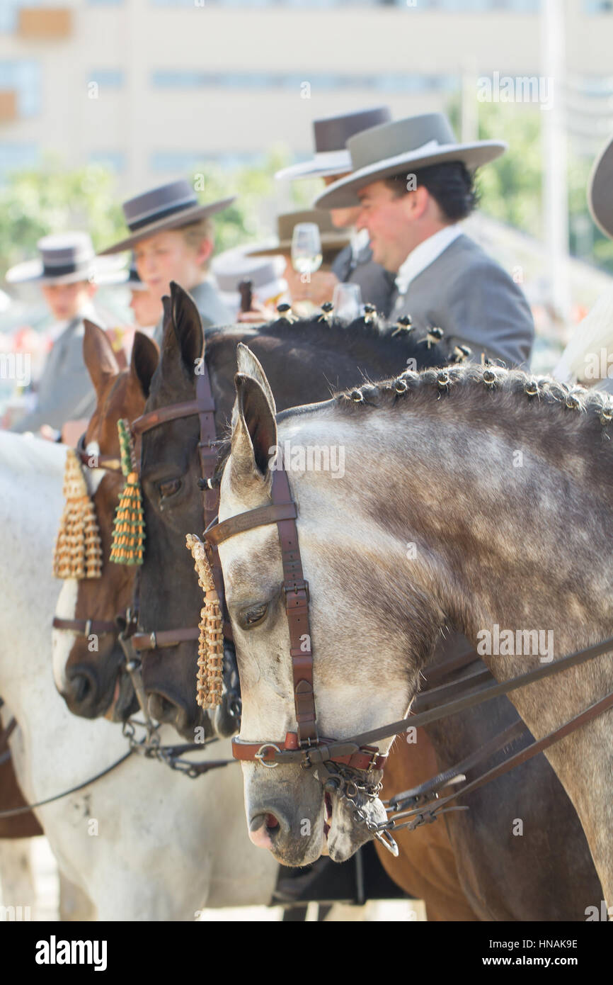 Séville, ESPAGNE - Apr, 25:personnes en costume traditionnel avec des chevaux à la foire d'Avril de Séville, 25 avril 2014 à Séville, Espagne Banque D'Images