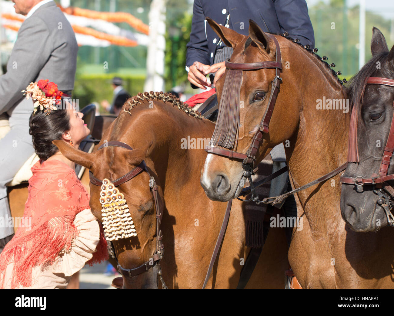 Séville, ESPAGNE - Apr, 25 : femme en costume traditionnel avec des chevaux à la foire d'Avril de Séville, 25 avril 2014 à Séville, Espagne Banque D'Images