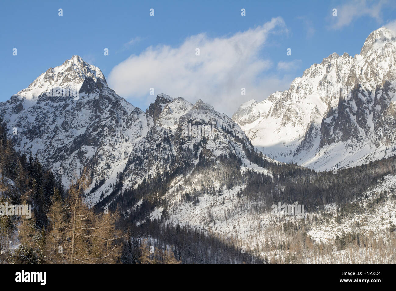 Gamme de montagne avec de la neige Banque D'Images