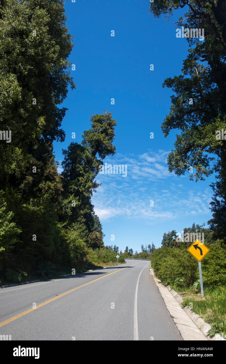 Détail de la carretera austral au Chili Banque D'Images