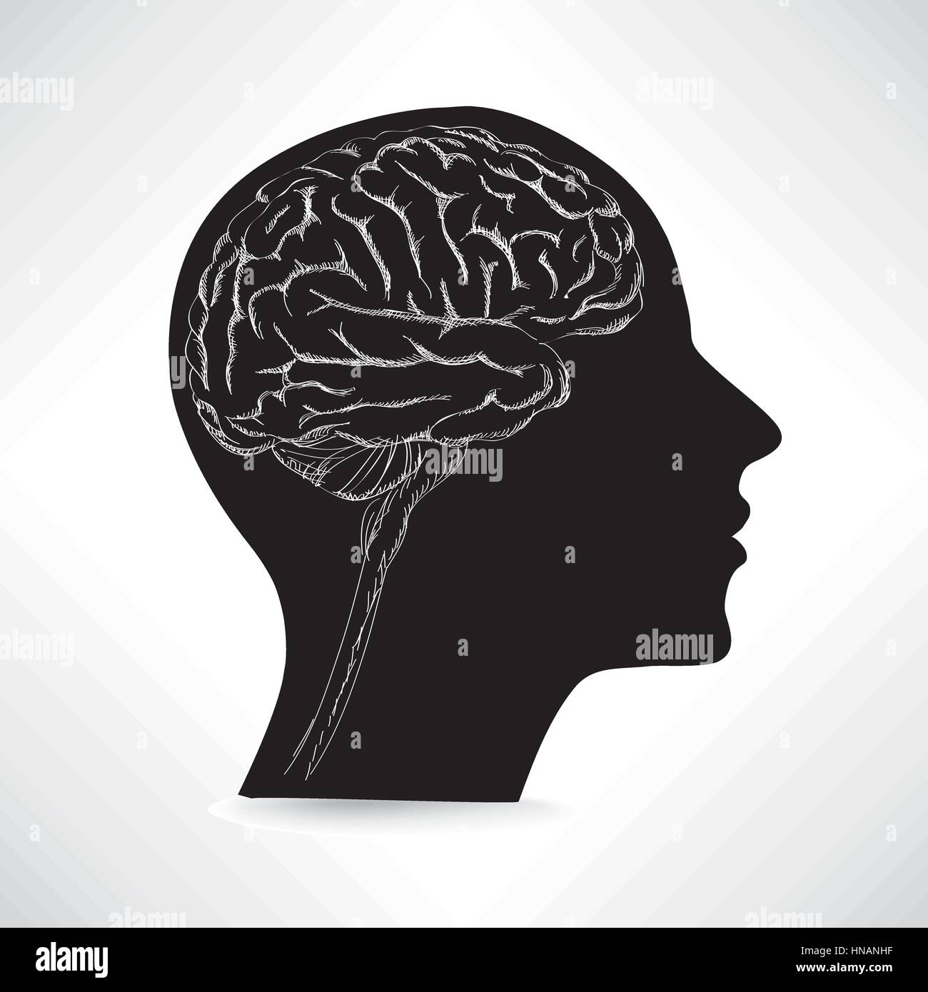 Cerveau féminin. pense que concept icône vecteur illustration croquis.. Illustration de Vecteur