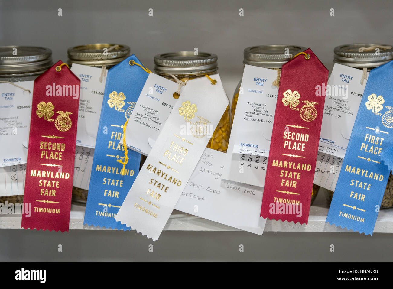 Linthicum, Maryland - Première et Deuxième place pots de maïs avec des balises d'entrée s'asseoir le long d'une corniche à l'État de Maryland 2016 juste. Banque D'Images