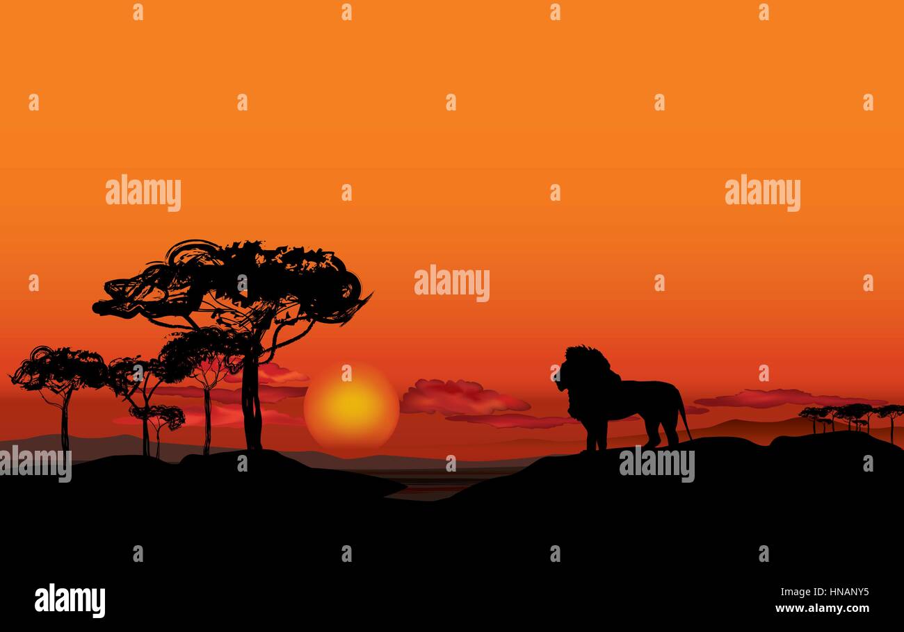 Paysage Africain Avec Silhouette Animaux Savane Fond Coucher