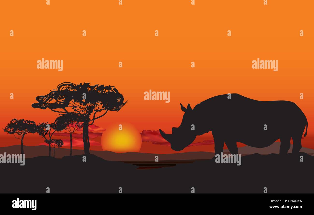 Paysage Africain Avec Silhouette Animaux Savane Fond Coucher