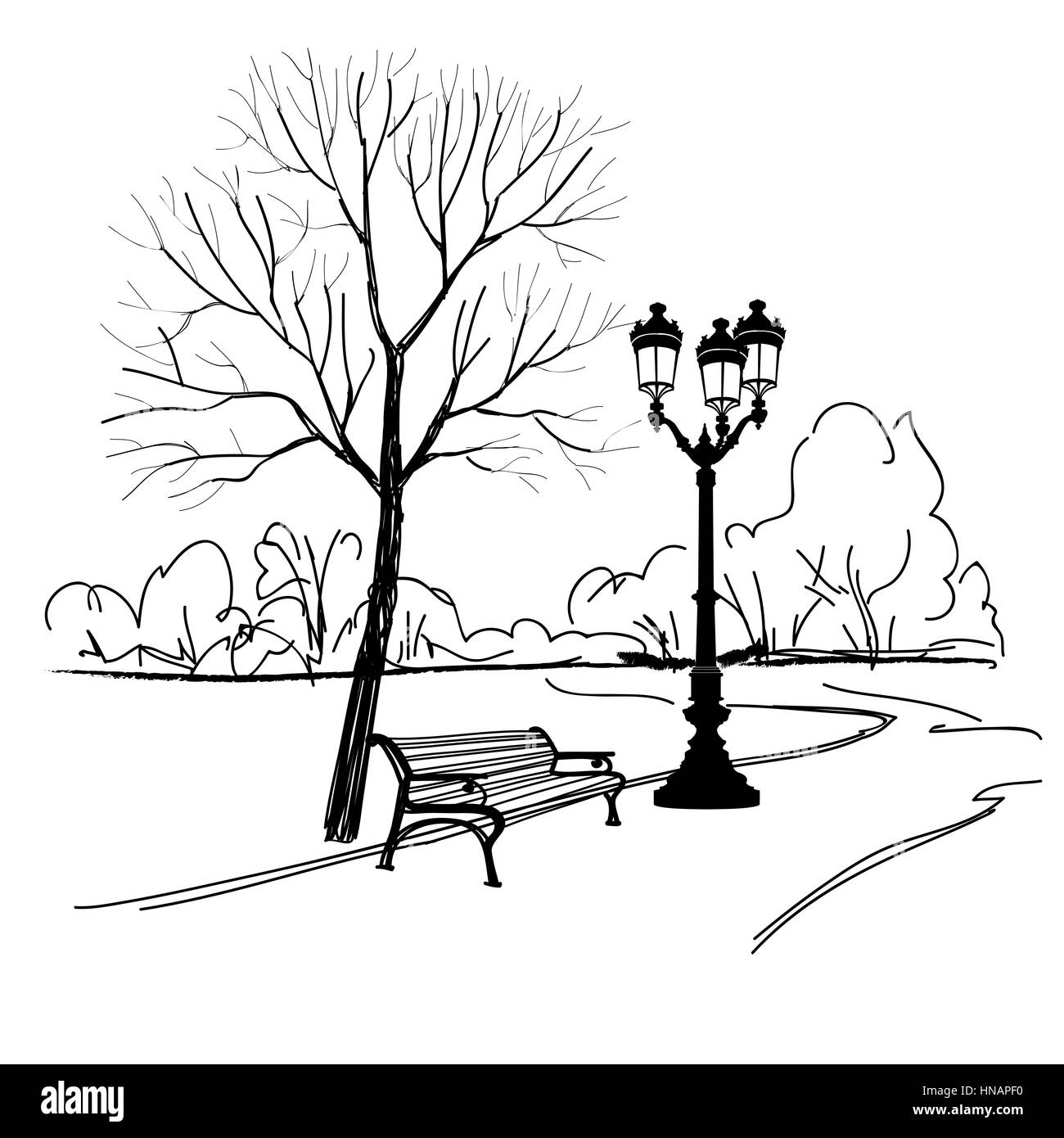Banc dans parc avec arbre et réverbère. Parc de la ville paysage. vector hand drawn croquis. Illustration de Vecteur