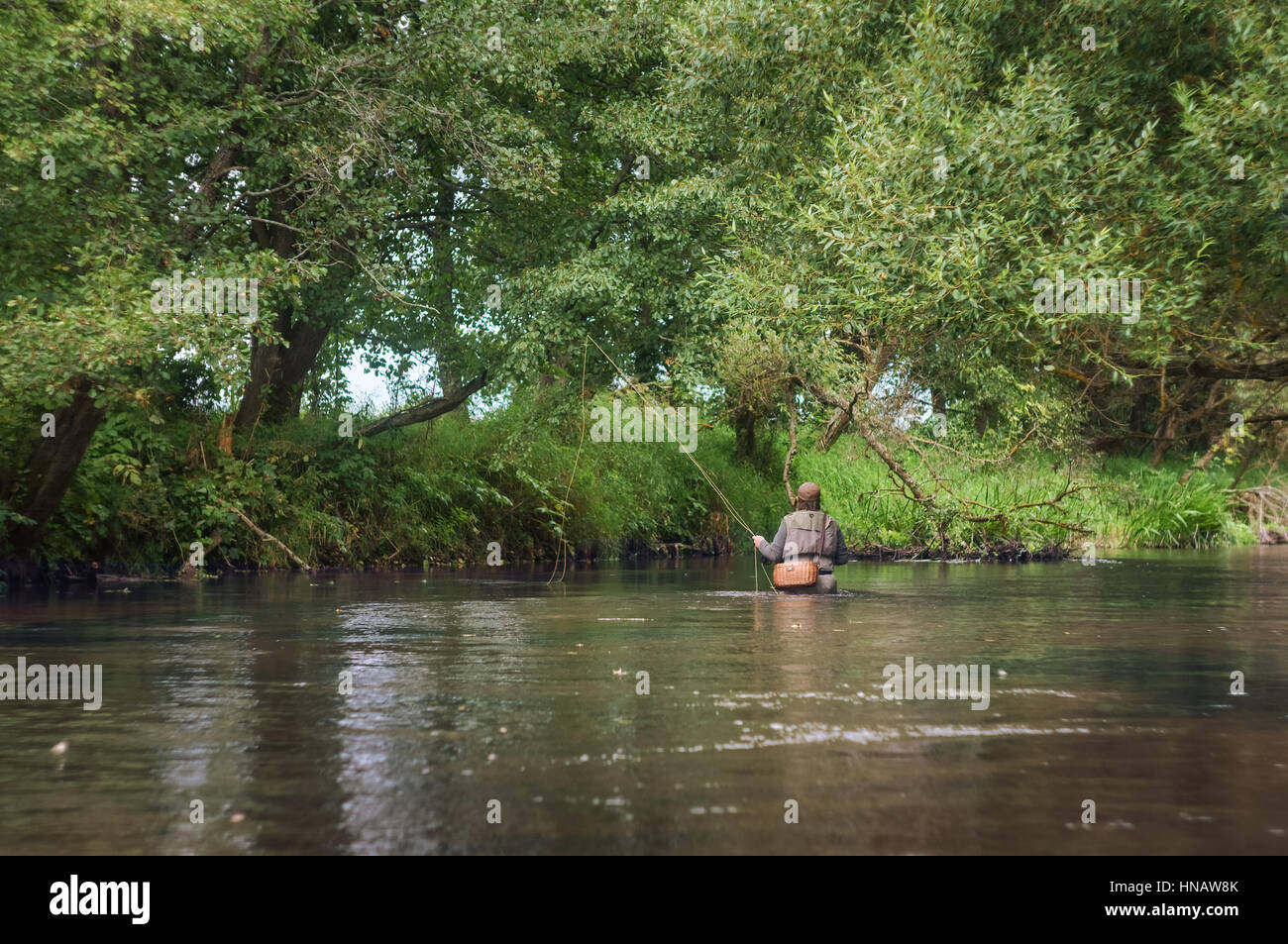 Les captures des pêcheurs une mouche sur la belle rivière de la forêt. Banque D'Images
