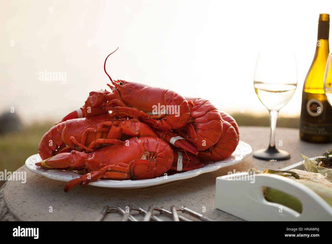 Tourné à l'extérieur des homards, le maïs et le vin blanc, le loup Cove Inn, Pologne Printemps, moi. Banque D'Images