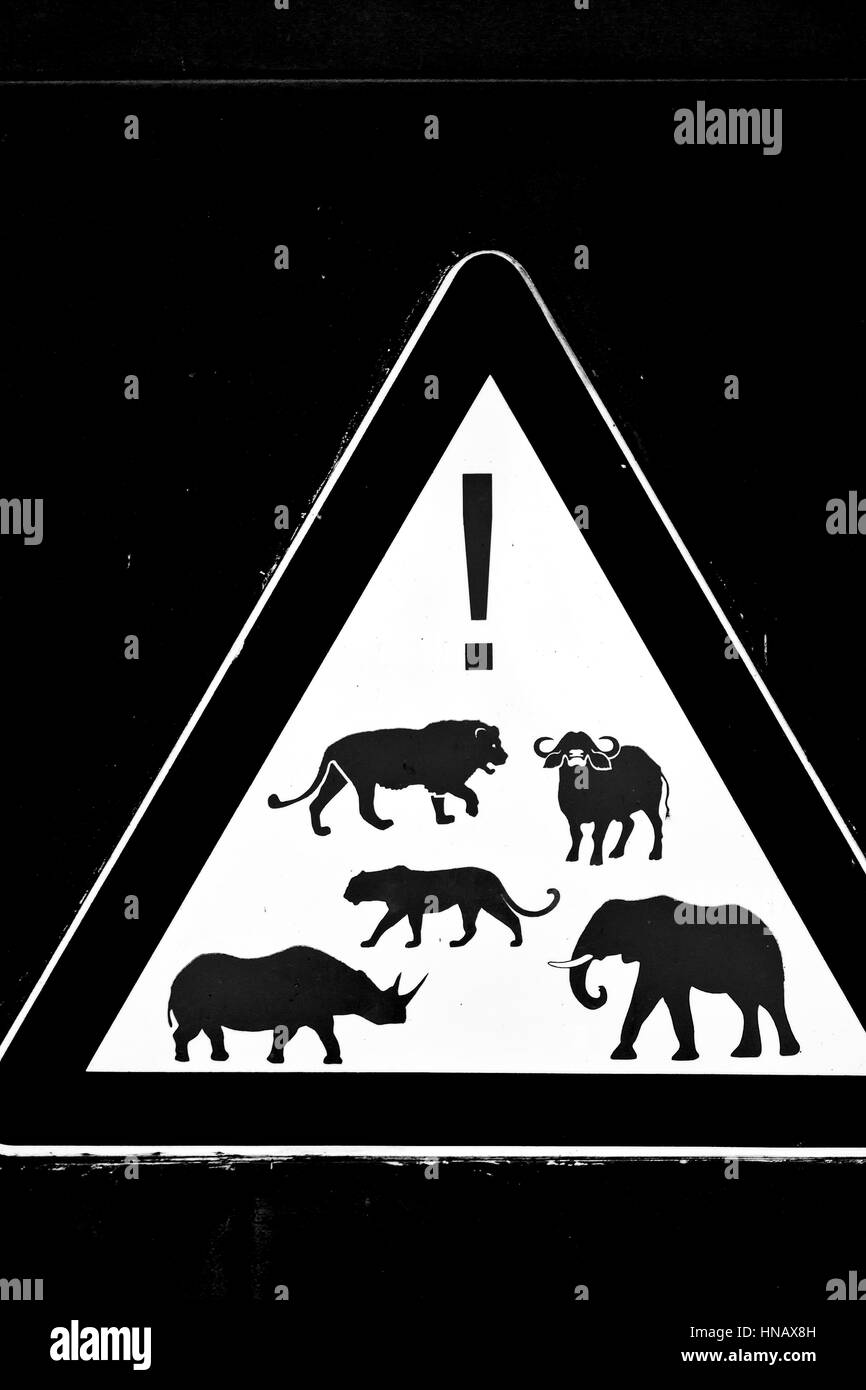 Blur en afrique du sud de près de l'inscription comme texture background Banque D'Images