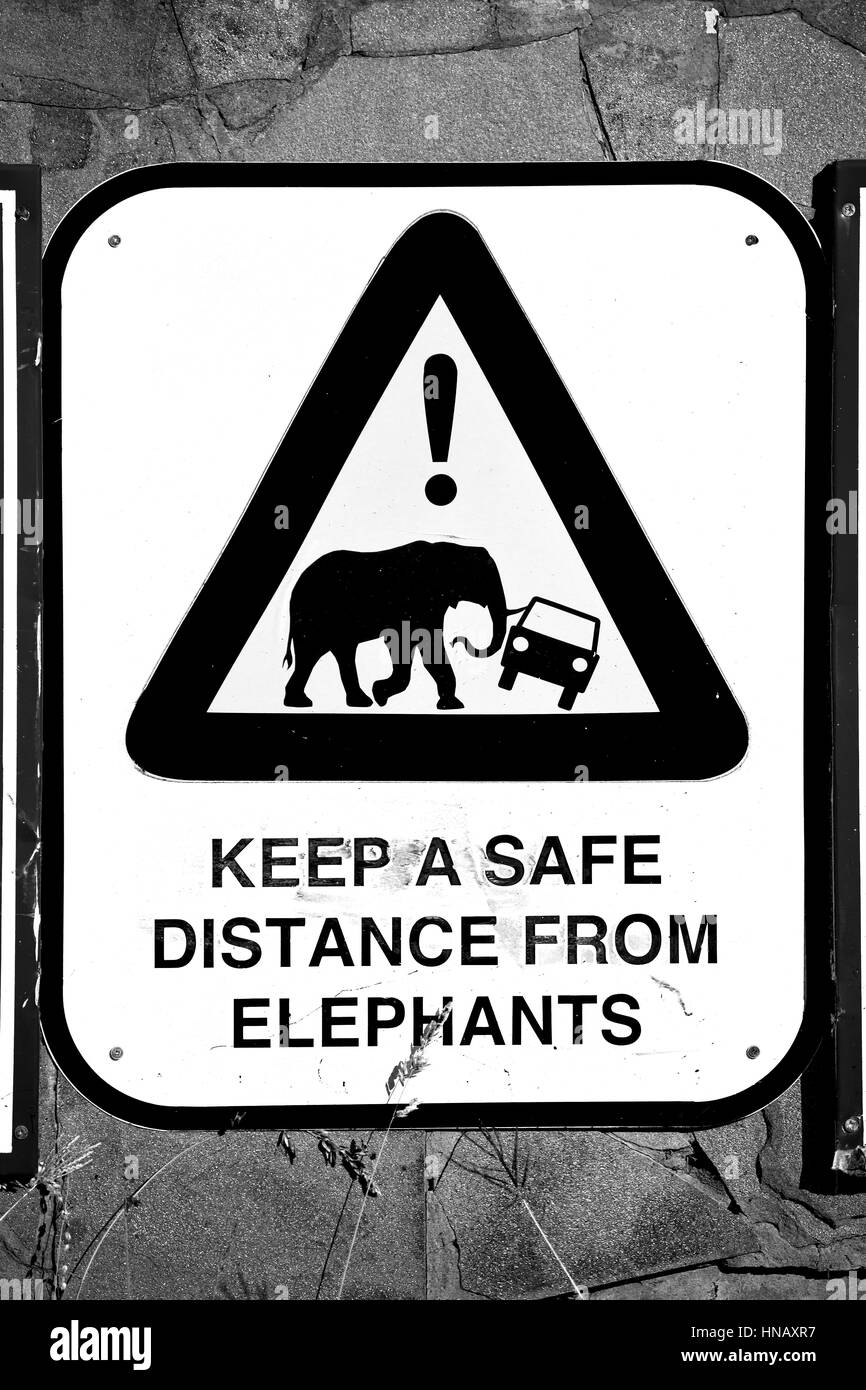 Blur en afrique du sud de près de l'inscription comme texture background Banque D'Images