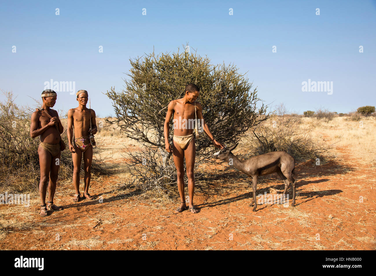 San, également connu sous le nom de Bochimans ou Basarwa,Lapa Lange Lodge, la Namibie, l'Afrique, par Monika Hrdinova/Dembinsky Assoc Photo Banque D'Images