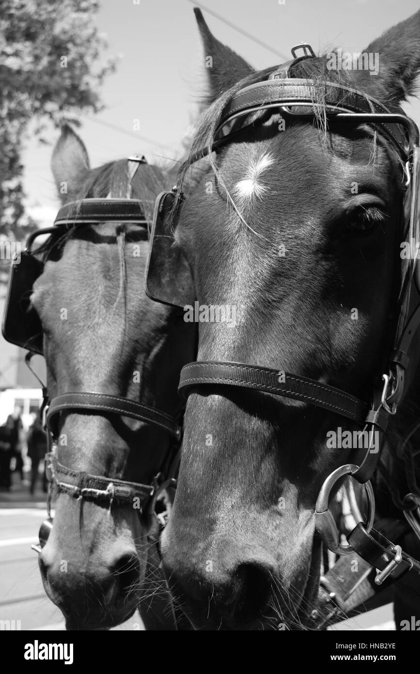 Une promenade autour de la ville Banque D'Images