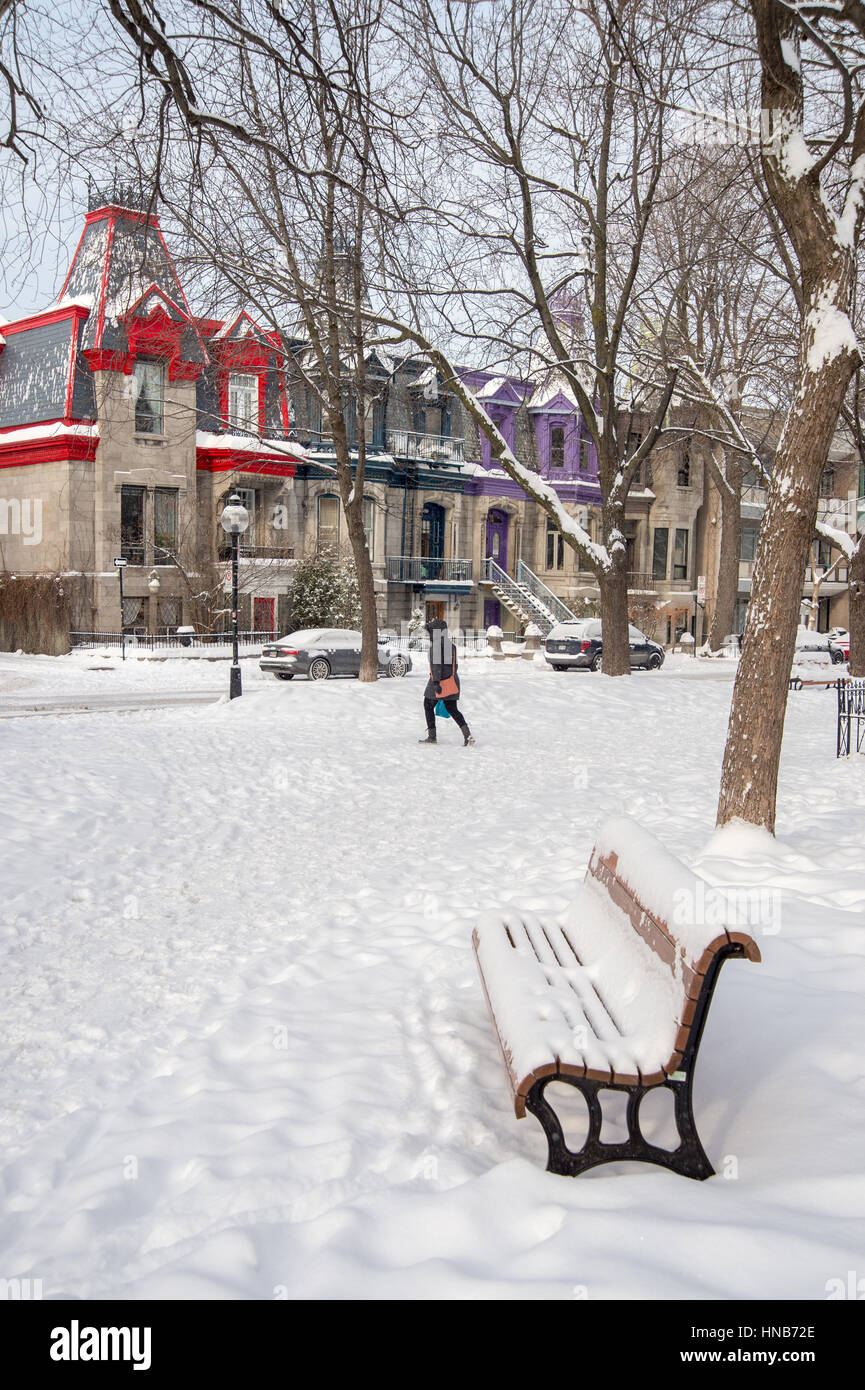 Montréal, CA - 17 décembre 2016 : Square Saint Louis en hiver avec ses maisons colorées de style victorien à l'arrière-plan Banque D'Images