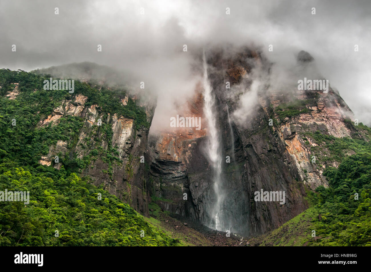 Angel Falls, la plus haute cascade du monde, le Venezuela Banque D'Images