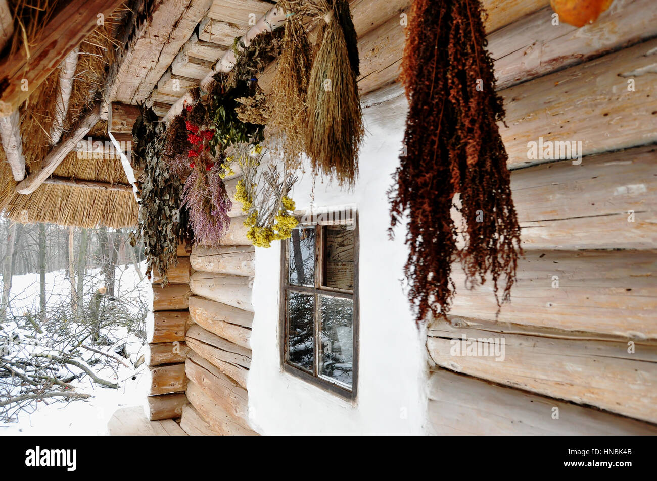 Bouquets d'herbes séchées suspendu au porche d'une vieille maison en bois ukrainien close up Banque D'Images