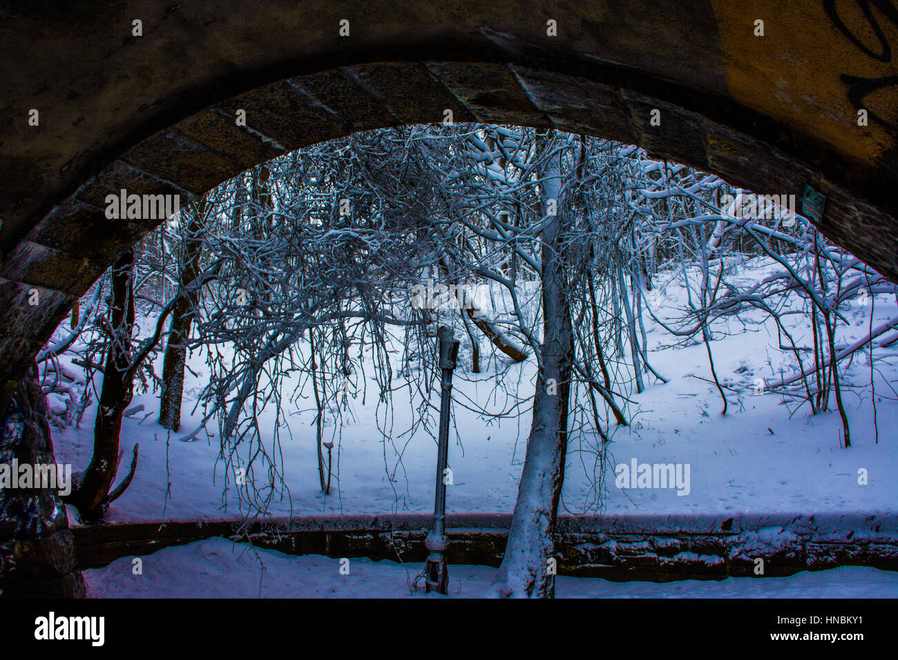 Avis de tempête de neige à Inwood Hill Park NYC Banque D'Images