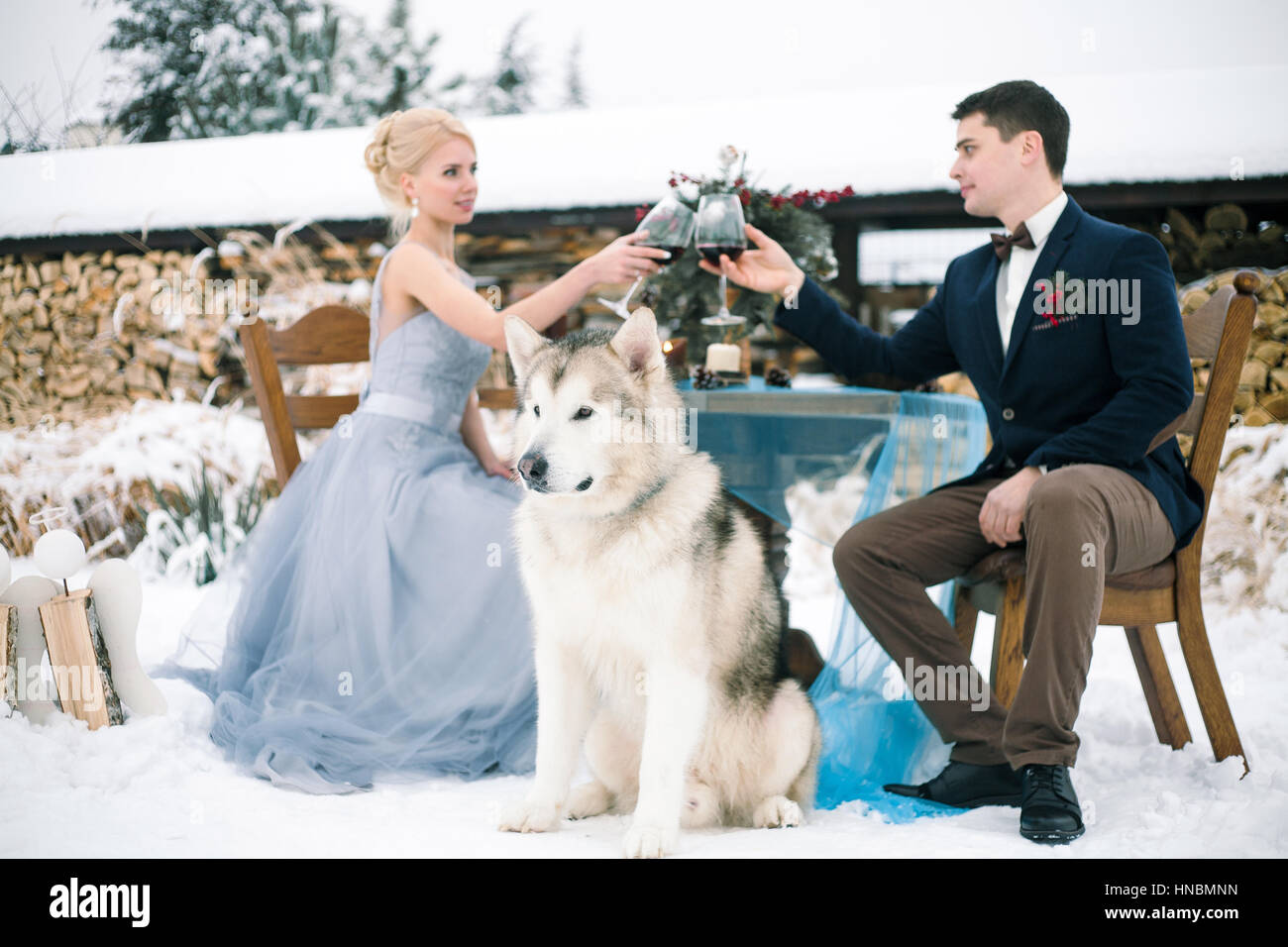 Mariée et le marié en hiver avec malamute chien assis à table et verres de vin. clink Sur la table est bouquet. Banque D'Images