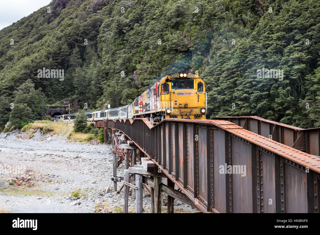 Rail de Kiwi, Arthur's Pass, île du Sud, Nouvelle-Zélande. Banque D'Images