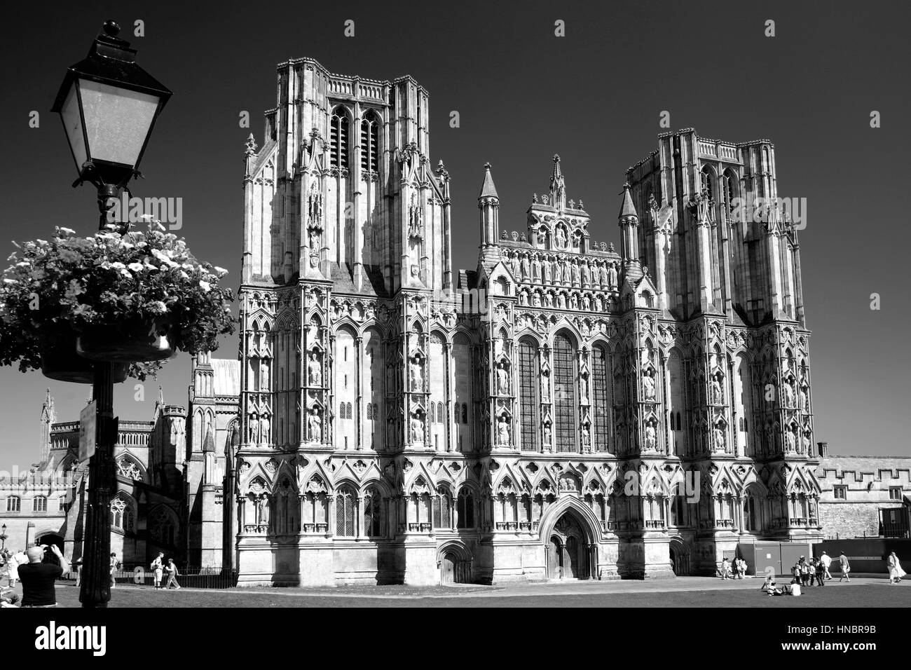 L'été, Juin, Juillet, été, Wells Cathedral et Wells, Somerset, Angleterre, Grande-Bretagne, Royaume-Uni, Banque D'Images