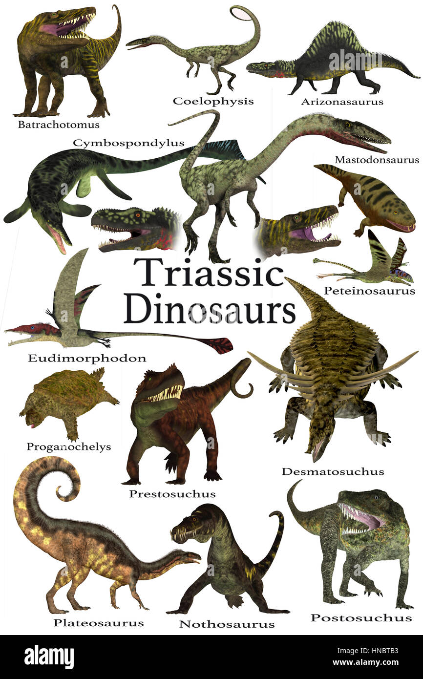 Les Dinosaures du Trias - une collection de divers animaux marins et de dinosaures qui ont vécu durant la période du Trias de l'histoire de la Terre. Banque D'Images