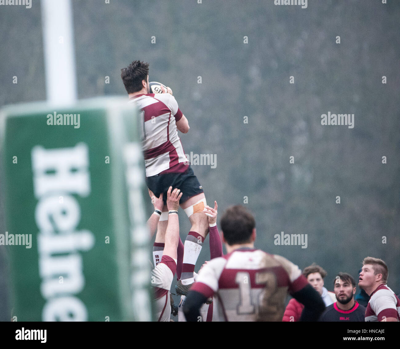 Brentwood, Essex, Royaume-Uni. 11 février 2017., Thurrock RFC (5) joue contre Brentwood RFC] (29) Crédit : Ian Davidson/Alamy Live News Banque D'Images