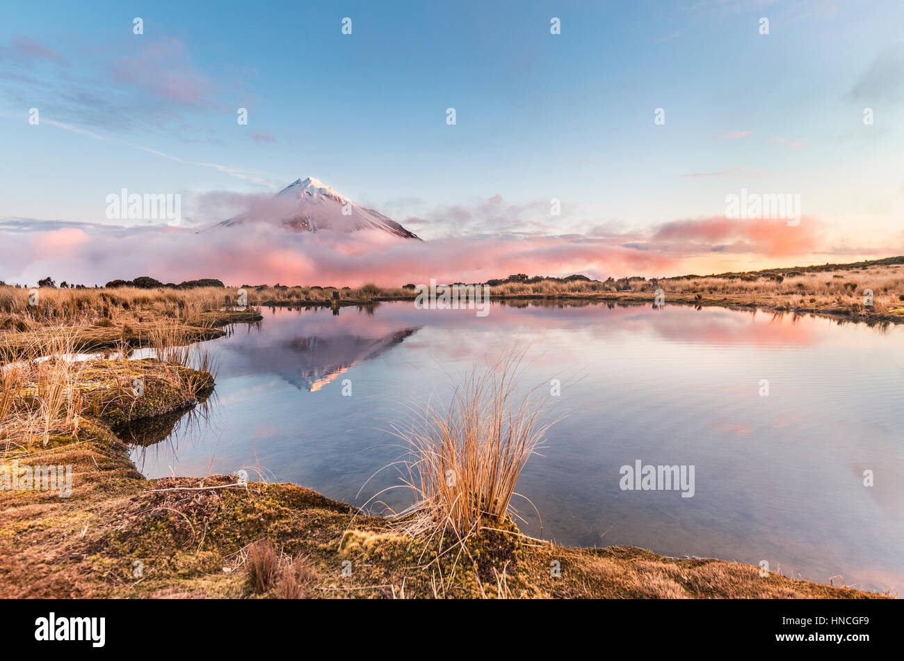 Reflet dans le lac Tarn Pouakai, rose nuages pour Mont Taranaki ou Mont stratovolcan Egmont au coucher du soleil, Parc National d'Egmont Banque D'Images