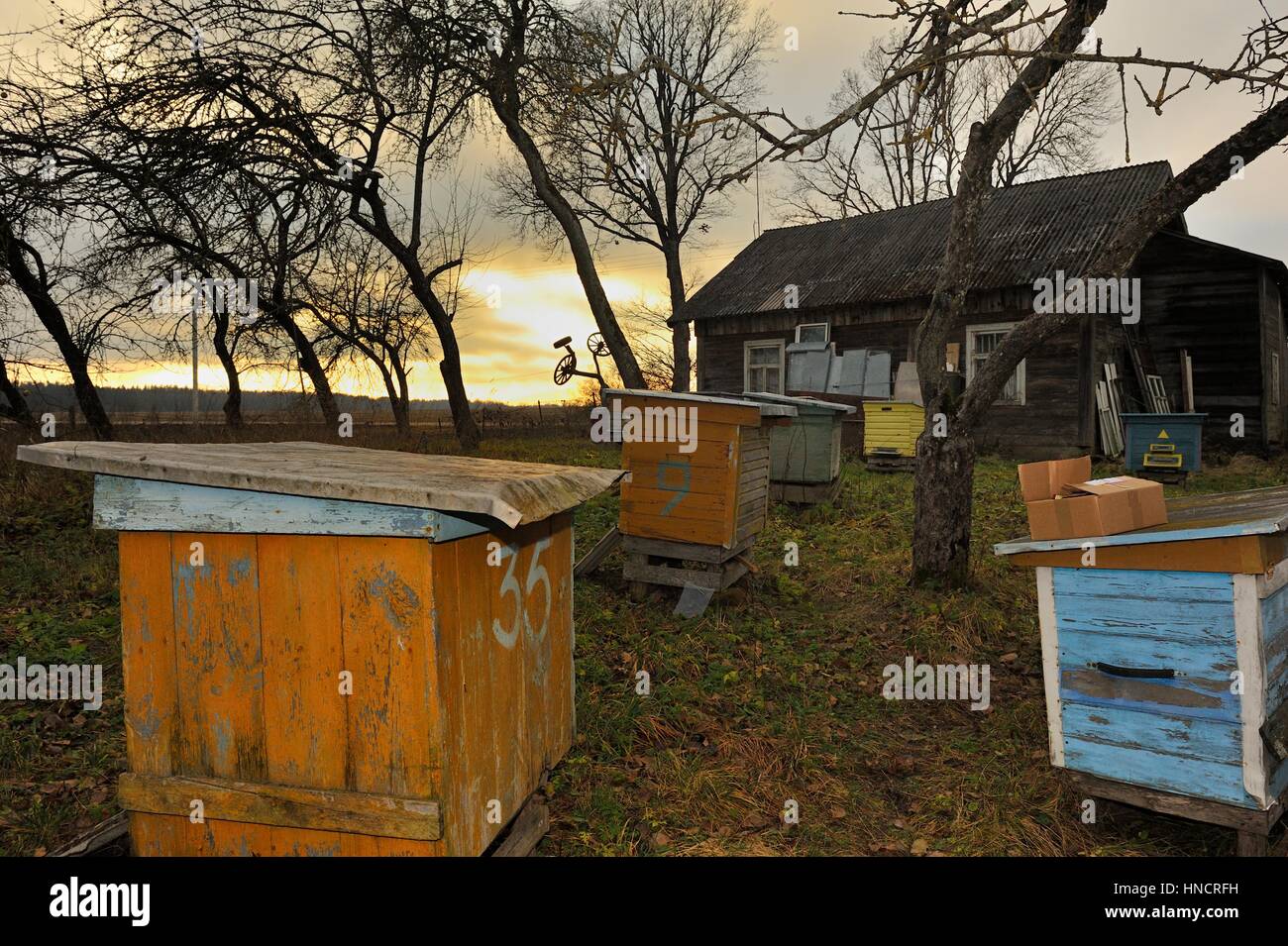 Foto Guru Juozas Vitas Tamusauskas in,Sudargas, Colizeum.Litauen. Banque D'Images