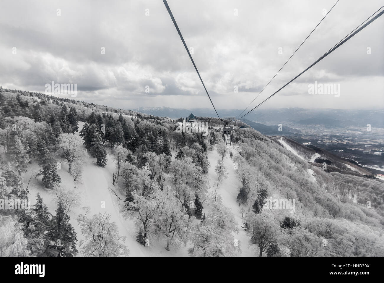 Paysage d'hiver dans le Mont Zao que situé sur le Yamagata-Miyagi,Japon préfectures Banque D'Images