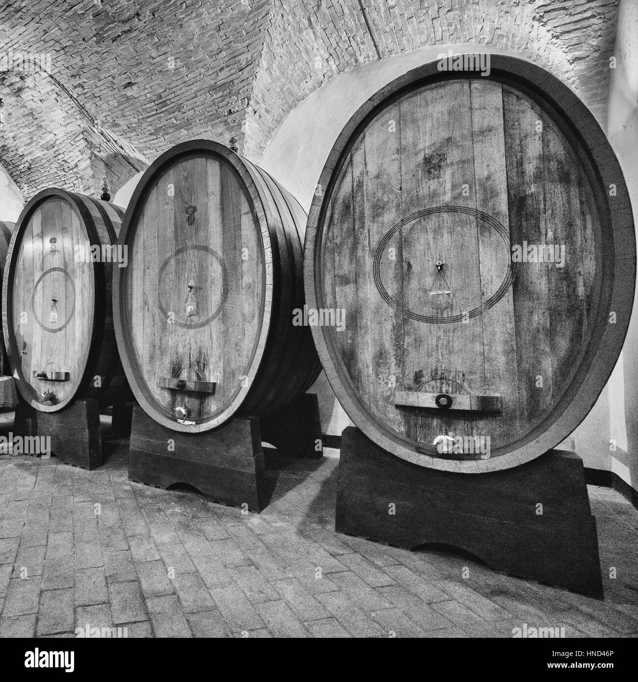 Des fûts de chêne dans une ancienne cave à vin italien. Banque D'Images