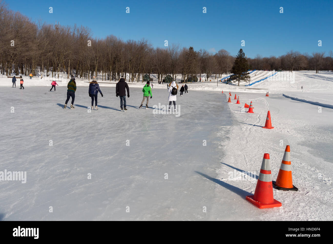 Montréal, CA - 31 janvier 2017 : les gens patiner sur le lac Beaver patinoire sur le Mont-Royal Banque D'Images