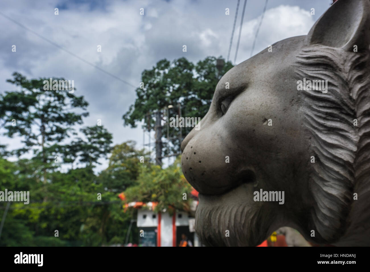 Tête de Lion statue en pierre à partir de photos prises à Bogor en Indonésie Banque D'Images