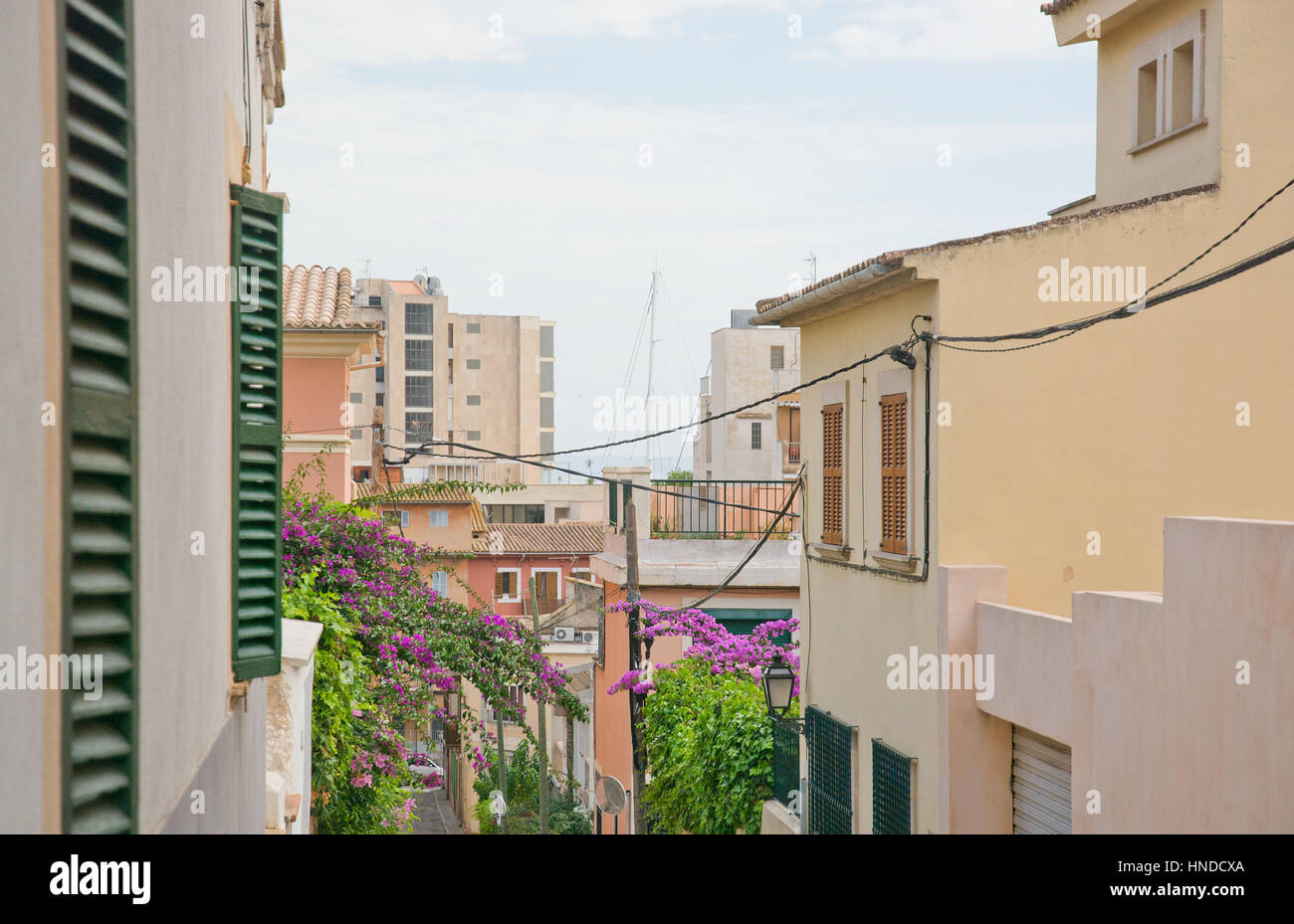 PALMA DE MAJORQUE, îles Baléares, Espagne - décembre 5, 2016 : Street view à el terreno par une journée d'hiver le 5 décembre 2016 à Palma de Majorque, Bal Banque D'Images