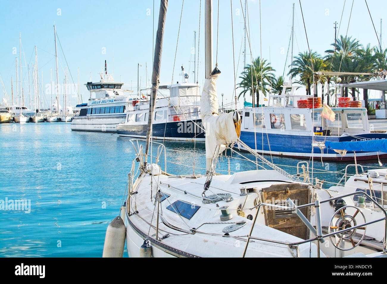 PALMA DE MAJORQUE, ESPAGNE - le 11 décembre 2016 : Belle white yachts et bateaux amarrés dans la marina, un jour ensoleillé, le 11 décembre 2016 à Palma de Ma Banque D'Images