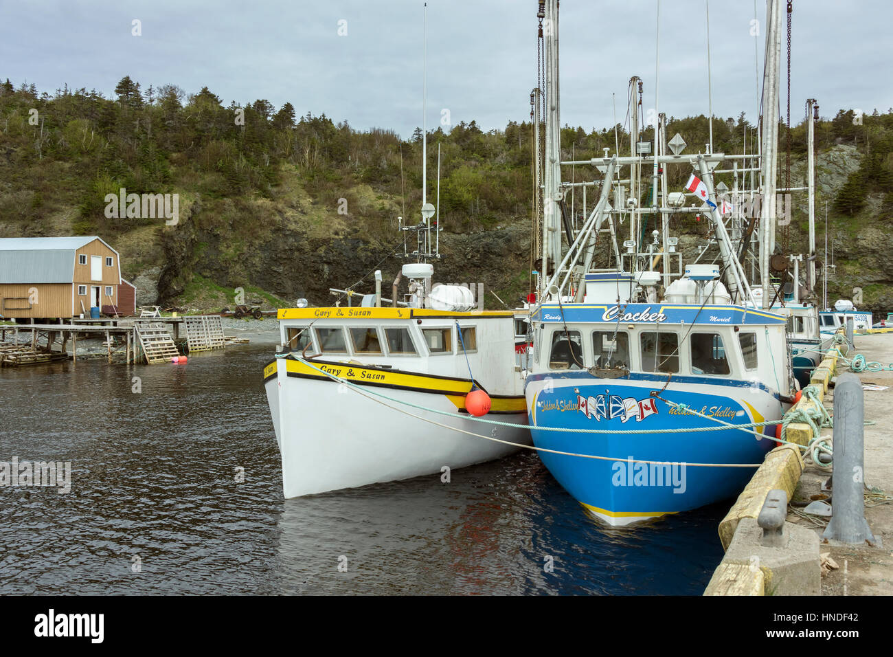 Bateaux de pêche au quai à Trout River, Terre-Neuve Banque D'Images