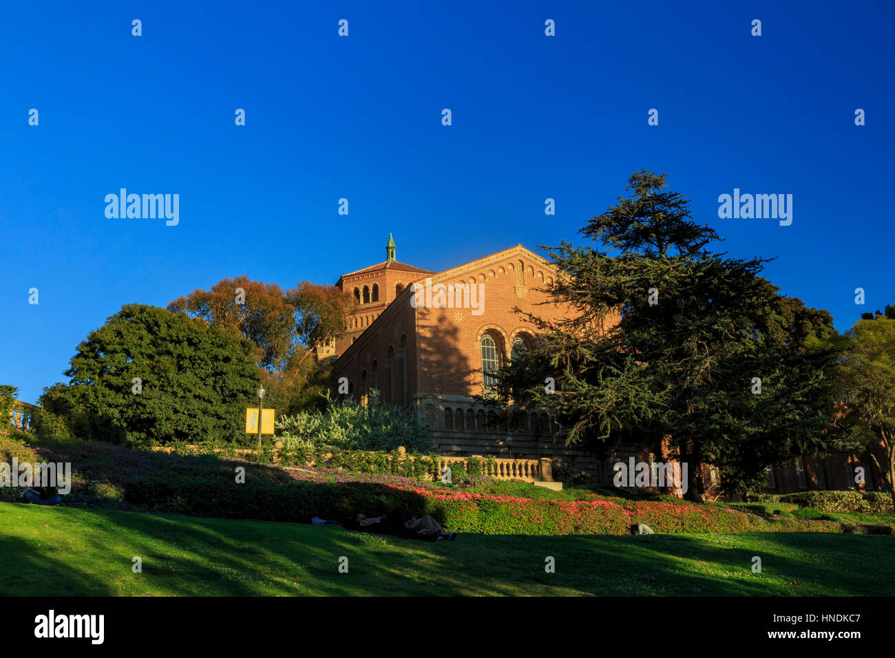FEB 11, Los Angeles : Le campus de l'Université de Californie, Los Angeles le 11 février 2015 à Los Angeles Banque D'Images