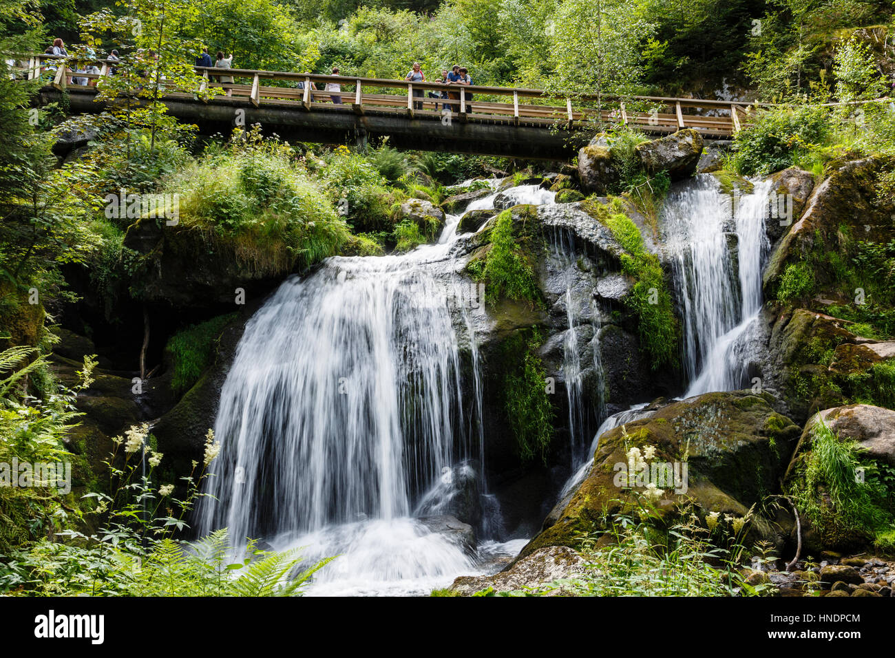 Cascades de Triberg, Forêt Noire, Allemagne Banque D'Images